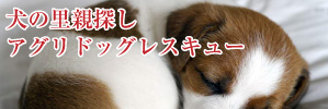 アグリドッグレスキュー