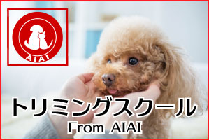 トリミングスクール